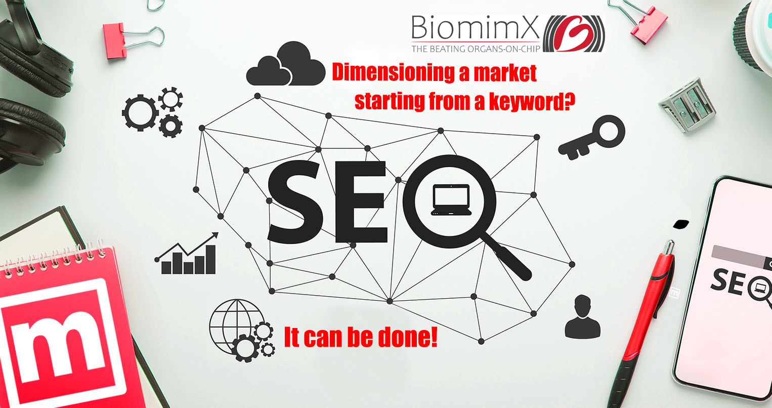 Dimensioning a market