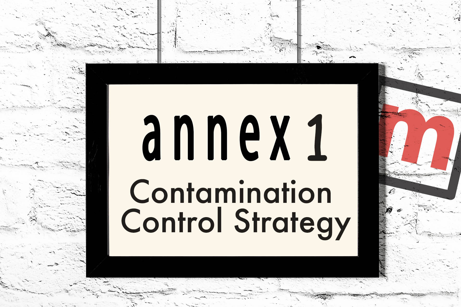 annex 1